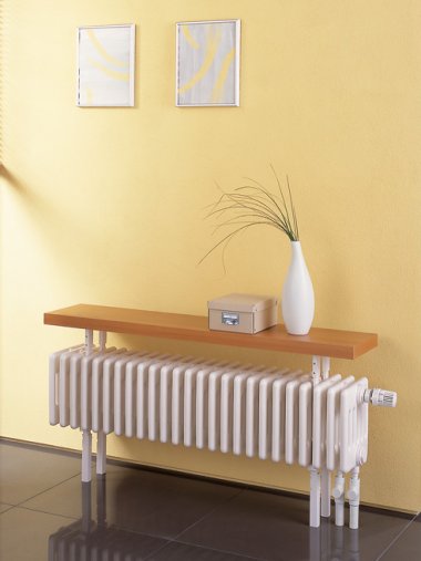 COLUMN RADIATOR